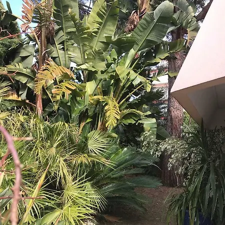 Apartment 19 Rue Du Parc Alexandre Iii